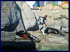 L'Oceanogràfic Oceanarium 124